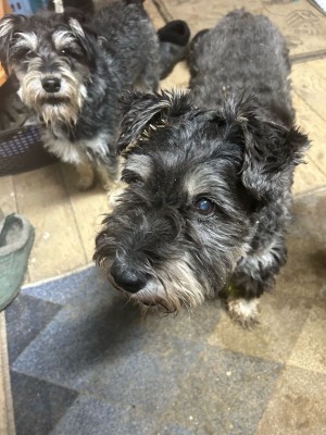 5193143360049321037 (1).jpg