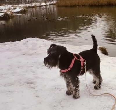 Screenshot_2.jpg (52.23 КБ) 713 просмотров Screenshot_2.jpg