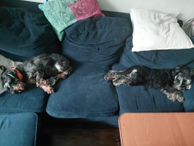 Две подружки- веселушки!