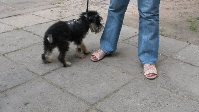 20150618_190226.jpg