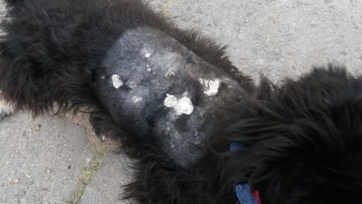 20150618_190235.jpg