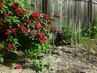IMG0328A.jpg