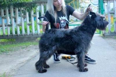 Штучка для сайта.jpg