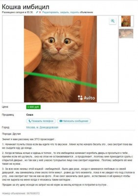 авито.jpg