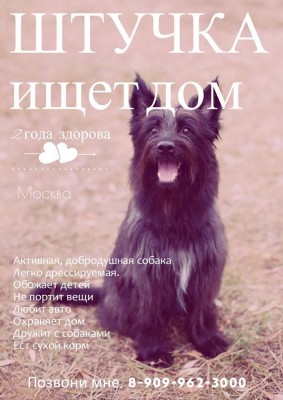 макет.jpg