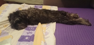 удивилась, когда увидела) Гера вытянула лапы полностью)