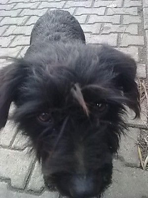 efrOS1cTHoI.jpg
