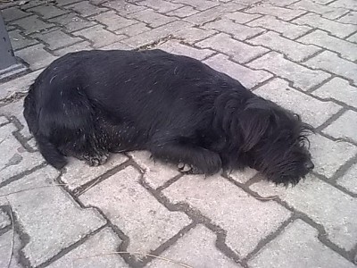 W0jPlSko618.jpg