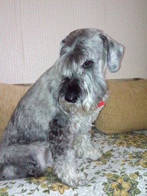 20160307_125021.jpg