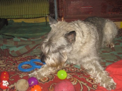 IMG_5666.JPG