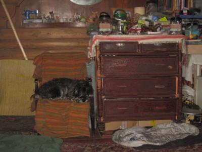 IMG_5797.JPG
