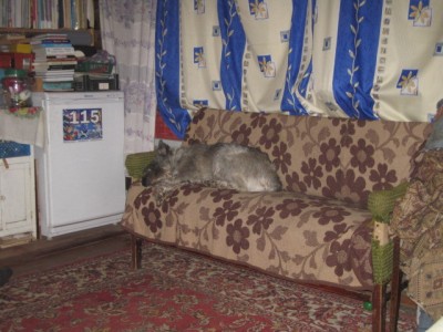 IMG_5798.JPG