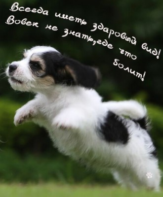 9ea14a1a6f7cda4010d87f21909b336e.jpg
