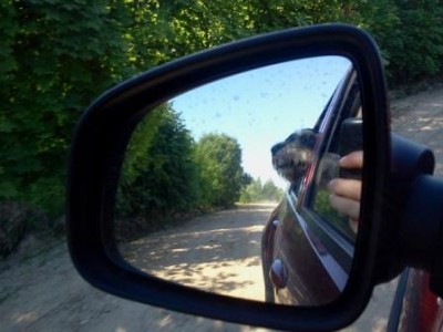 По дороге в деревню из Малоярославца.