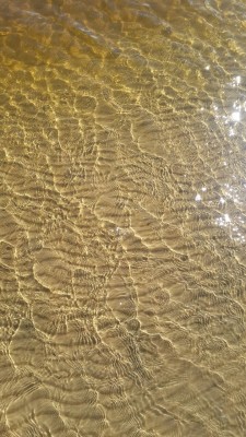 image-0-02-01-80e8de2e9533667bbf6326e23651922597b5081ce8a81ef5c8ab4f1f4beae7f2-V.jpg