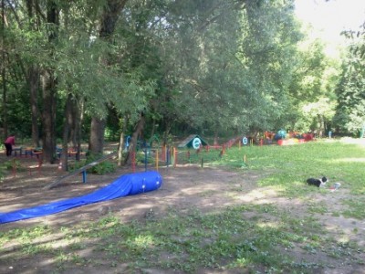 Собственно страсса