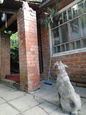 qq8FtjVNpqI.jpg (227.5 КБ) 4586 просмотров Ваня ждет, когда спустится кот со столба. Кот давно уже спустился с другой стороны, и лег в полутора метрах от Вани, а Вано все ждет...