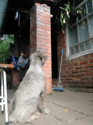 tUV097veBvc.jpg (201.58 КБ) 4710 просмотров Даже хотел заночевать на улице! В ожидании...