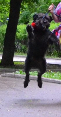 летаем.JPG