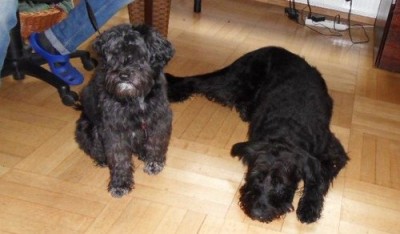 K640_SDC11359.JPG (58.32 КБ) 2212 просмотров Малыш и новое окружение