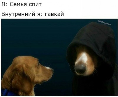1480286944181121186.jpg