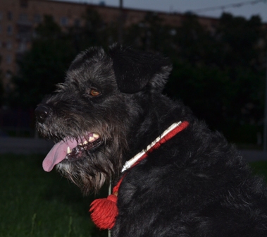 DSC_0696.JPG