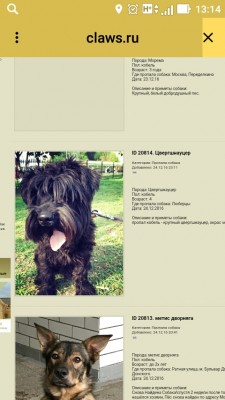 Screenshot_2016-12-25-13-14-19.jpg