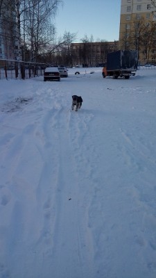 -26 - брррр... стометровка на попис))) очень уж холодно...