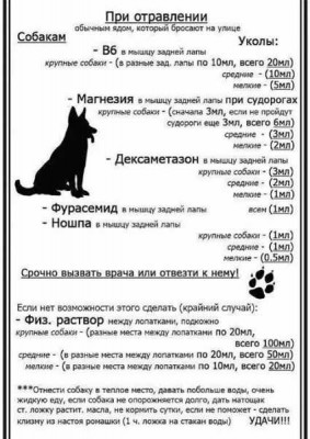лечение.jpg