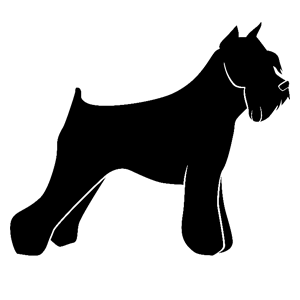 накл 1.png