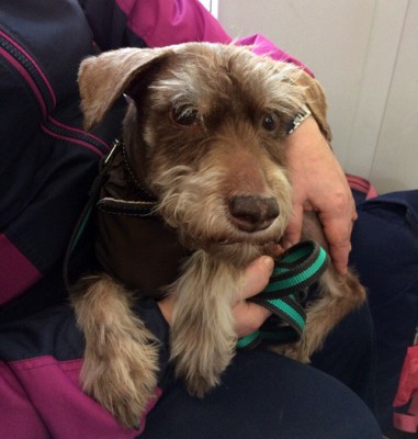 2oDvEstNPTk.jpg (164.94 КБ) 6378 просмотров На ручках в ожидании очереди на анализы