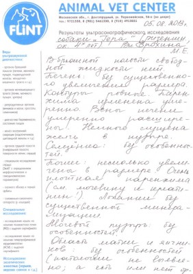 соб2.jpg