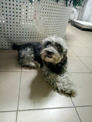 2fj3r58UY8I.jpg (69.59 КБ) 12670 просмотров В клинике.