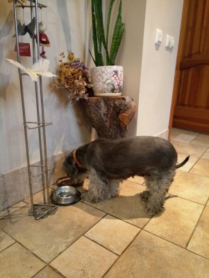 rHyp0VGnuAE (1).jpg (167.28 КБ) 13219 просмотров А это еще осенью снимали)))