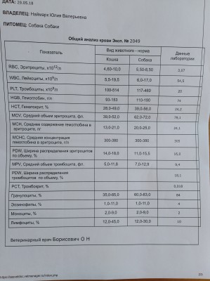 IMG_20180530_101134.jpg