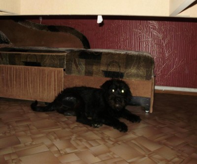 Копия PC200002.JPG