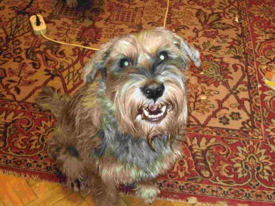 IMG_0010.jpg (227.94 КБ) 2341 просмотр IMG_0010.jpg