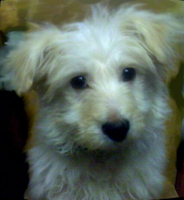 ABCD0007.JPG (58.19 КБ) 2329 просмотров ABCD0007.JPG