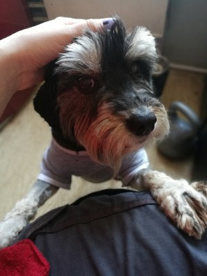 f2kxVrdcH6I.jpg (219.29 КБ) 3612 просмотров на ручки пусти. Это не вопрос, а утверждение.