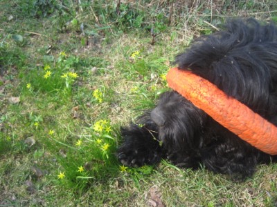 IMG_9021.JPG (182.08 КБ) 3743 просмотра Не могу смотреть !!-мама снимает не меня,а какие-то цветочки