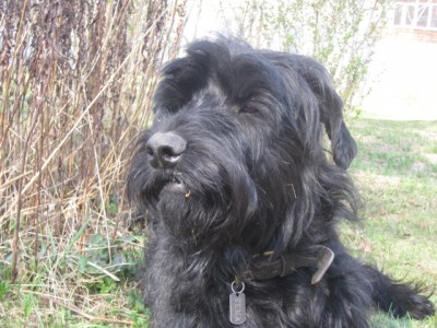 IMG_9030.JPG (158.52 КБ) 3743 просмотра Царь! просто Царь!!