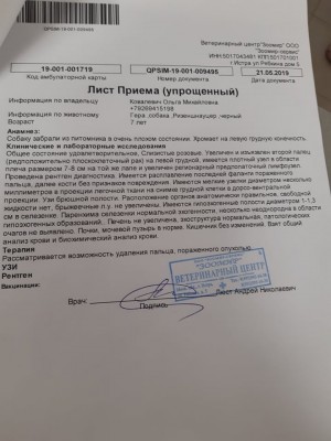 зоомир3.jpg