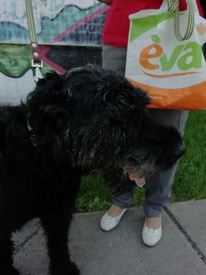 Дарси мордашка.jpg (159.5 КБ) 2290 просмотров Дарси мордашка.jpg