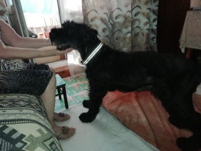 Дарси дома.jpg (96.81 КБ) 2252 просмотра Дарси дома.jpg