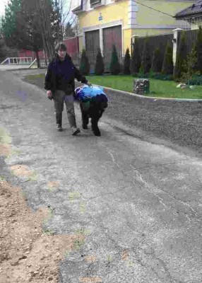 Wax22ctyduk.jpg (24.2 КБ) 5675 просмотров Wax22ctyduk.jpg