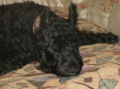 GEDC0337.JPG (70.58 КБ) 1676 просмотров Григорий отдыхает