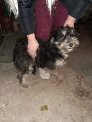 VXEX7695.JPG (168.56 КБ) 3134 просмотра Теффи...