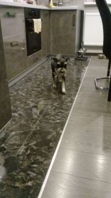 XNJD4339.JPG (86.45 КБ) 2989 просмотров Теффи через 24 часа