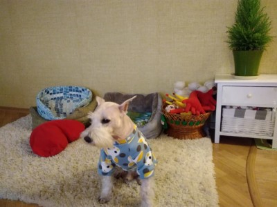 IMG-20200202-WA0013.jpg (85.52 КБ) 26547 просмотров Кузя