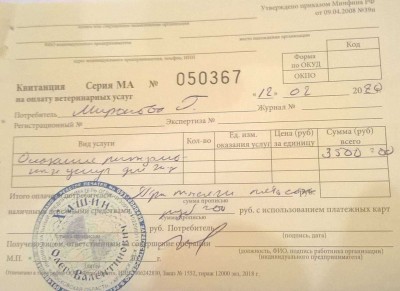 уход кенди на радугу.jpg